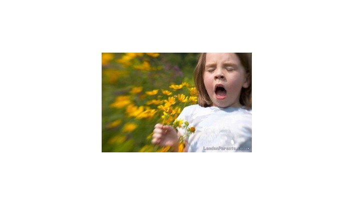 Allergy season: spring allergy triggers and how to avoid them.