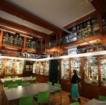 Grant Museum of Zoology and Comparative Anatomy